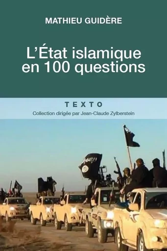 L'état islamique en 100 questions - Mathieu Guidère - TALLANDIER