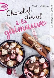 Le journal de Dylane - tome 2 Chocolat chaud à la guimauve