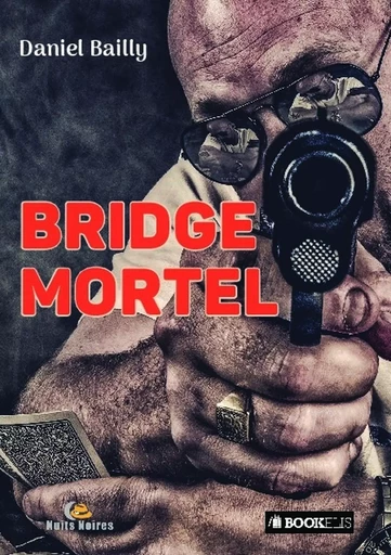 Bridge mortel - Daniel Bailly - BOOKELIS