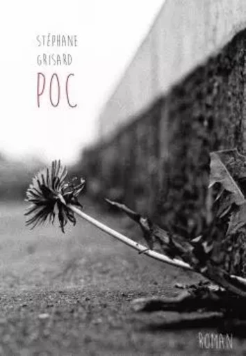 POC - Stephane Grisard - BOOKELIS