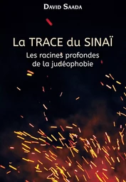 La trace du Sinaï