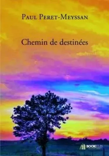 Chemin de destinées - Paul Peret-Meyssan - BOOKELIS