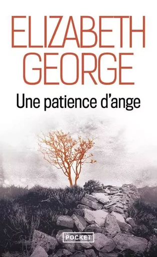 Une patience d'ange - Elizabeth George - Univers Poche