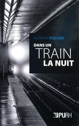 Dans un train la nuit