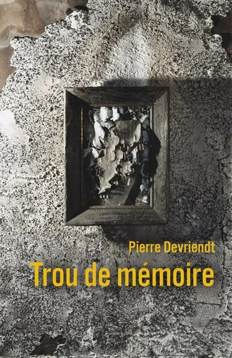 Trou de mémoire - Pierre Devriendt - LIBRINOVA