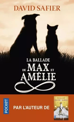 La Ballade de Max et Amélie - David Safier - Univers Poche