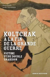 Koltchak à la fin de la Grande Guerre