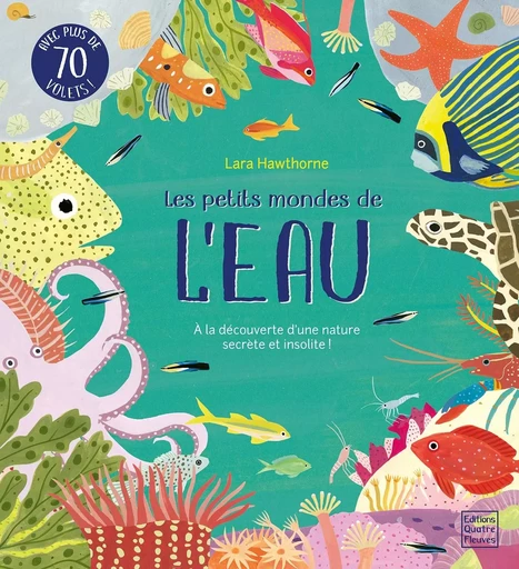 Les petits mondes de l'eau - Lily Murray - GLENAT JEUNESSE