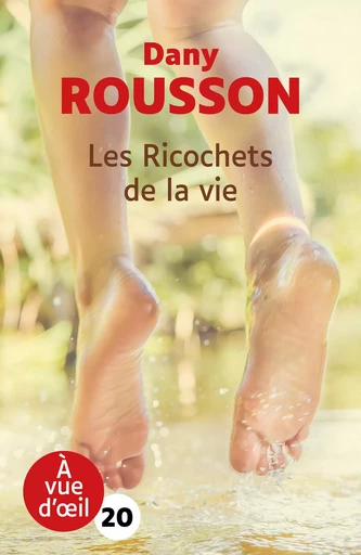 LES RICOCHETS DE LA VIE - Dany Rousson - A VUE D OEIL