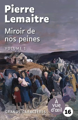 MIROIR DE NOS PEINES (2 VOLUMES) - Pierre Lemaitre - A VUE D OEIL