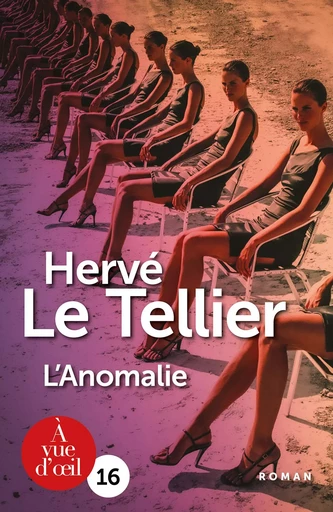 L'ANOMALIE - Hervé Le Tellier - A VUE D OEIL