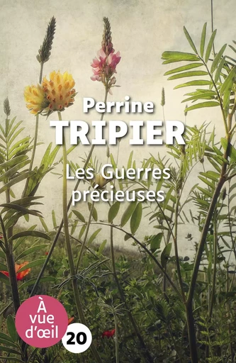 LES GUERRES PRECIEUSES - Perrine Tripier - A VUE D OEIL