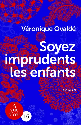 SOYEZ IMPRUDENTS LES ENFANTS - Véronique Ovaldé - A VUE D OEIL