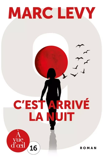 C'EST ARRIVE LA NUIT - Marc Levy - A VUE D OEIL