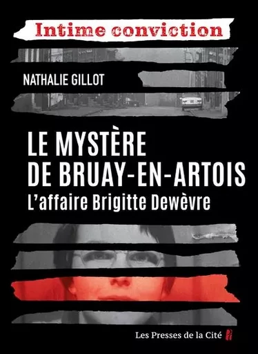 Le Mystère de Bruay-en-Artois. L'Affaire Brigitte Dewèvre - Nathalie Gillot - Place des éditeurs