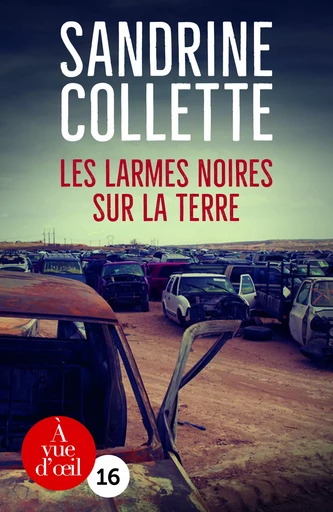 LES LARMES NOIRES SUR LA TERRE - Sandrine Collette - A VUE D OEIL