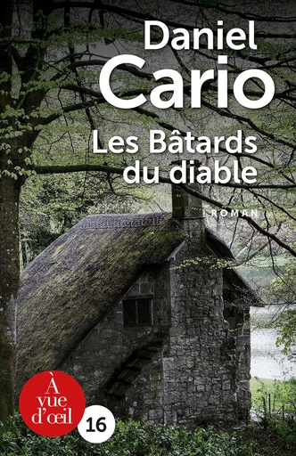 LES BATARDS DU DIABLE - daniel cario - A VUE D OEIL