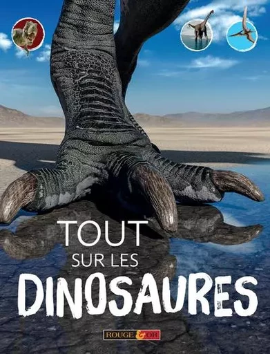 Tout sur les dinosaures - Michael Benton - Nathan