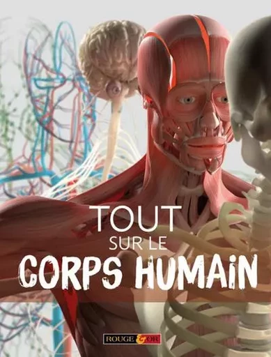 Tout sur le corps humain - Patricia Macnair - Nathan