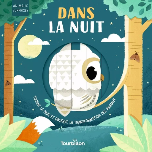 Dans la nuit - Harriet Stone - TOURBILLON