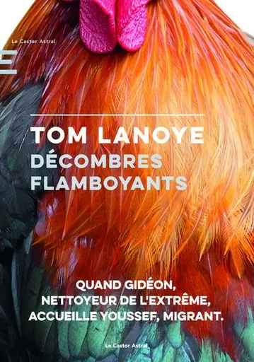 Décombres flamboyants - Tom Lanoye - Le castor astral