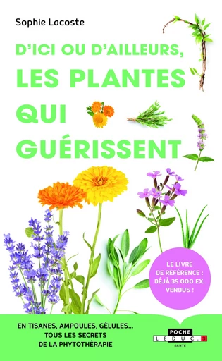 D'ici ou d'ailleurs, les plantes qui guérissent - Sophie Lacoste - LEDUC