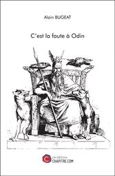 C'est la faute à Odin