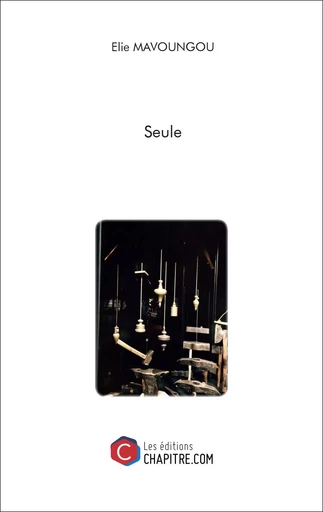 Seule - Élie Mavoungou - CHAPITRE.COM EDITIONS