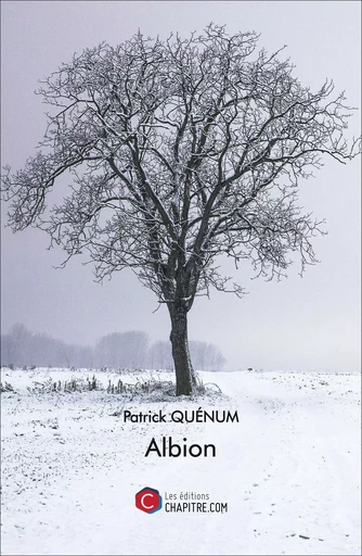 Albion - Patrick Quénum - CHAPITRE.COM EDITIONS