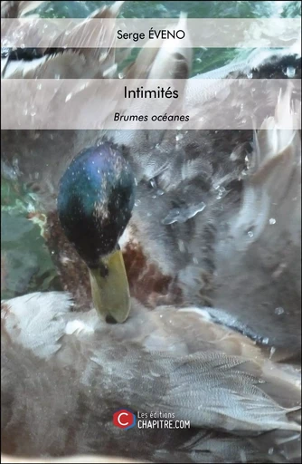 Intimités - Serge Eveno - CHAPITRE.COM EDITIONS