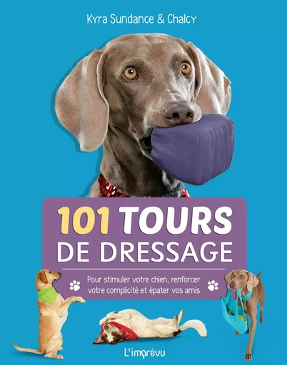 101 tours de dressage - Kyra Sundance - L'IMPREVU