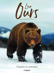 Les ours