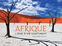 Afrique. L'âme d'un continent