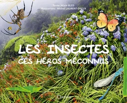 Les insectes - ces héros méconnus