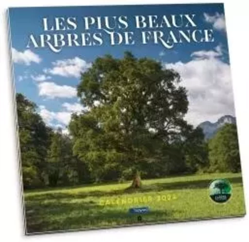 Calendrier des plus beaux arbres de France 2024 -  Collectif auteurs - BAYARD PRESSE