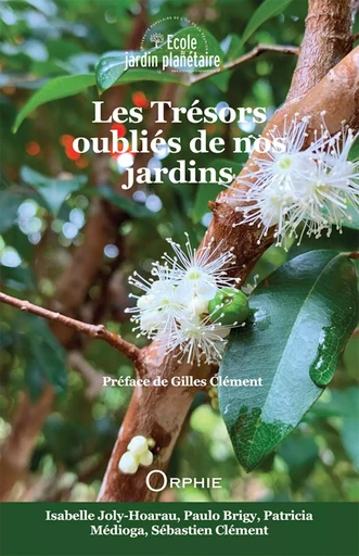 Les trésors oubliés de nos jardins... -  MEDIOGA PATRICIA - ORPHIE