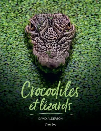 Crocodiles et Lézards -  - L'IMPREVU