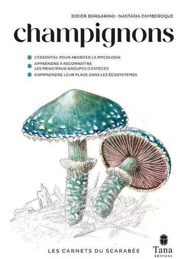 Champignons - Didier Borgarino, Nastasia Camberoque - edi8