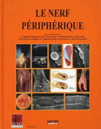 LE NERF PERIPHERIQUE - SIMS -  LHOSTE-TROUILLO - SAURAMPS MEDICA