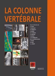 LA COLONNE VERTEBRALE