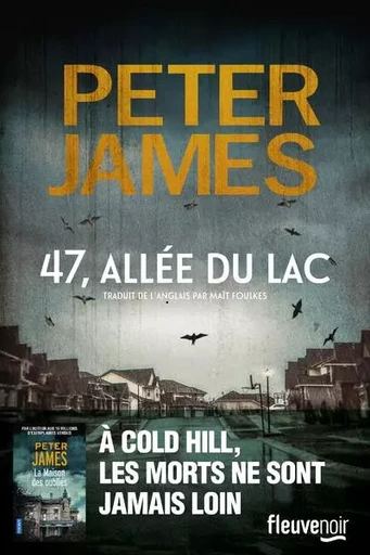 47, allée du lac - Peter James - Univers Poche