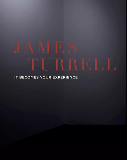 It becomes your experience - James Turrell - SNOECK GENT