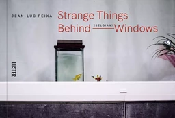 STRANGE THINGS BEHIND BELGIAN WINDOWS