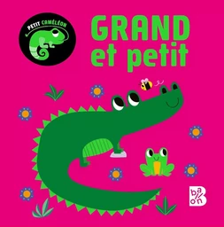 Petit caméléon - Grand et petit