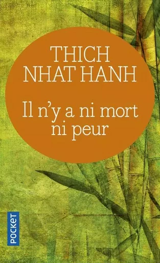 Il n'y a ni mort ni peur - Thich Nhat Hanh - Univers Poche