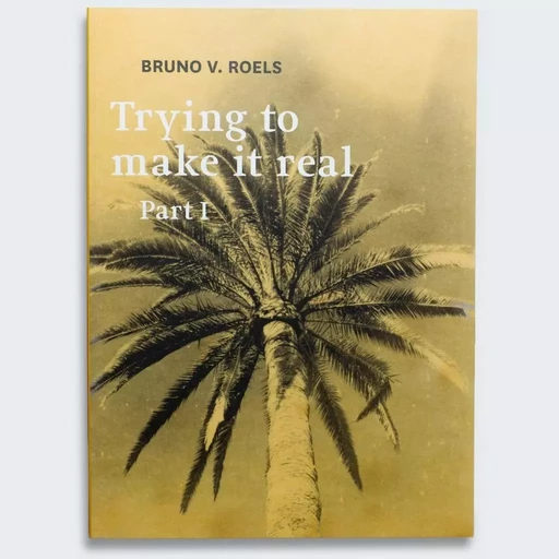 Trying To Make It Real - Part I & II - Bruno V. Roels - HOPPER FUCHS