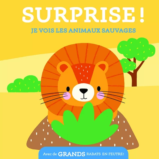 Je vois les animaux sauvages / surprise -  - TAM TAM EDTS