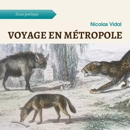 Voyage en métropole