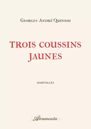 Trois coussins jaunes