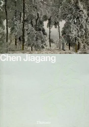 Chen Jiagang